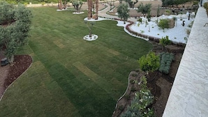 A well-maintained garden with a variety of plants and a lawn, a pathway, and a view of a hilly landscape in the background.