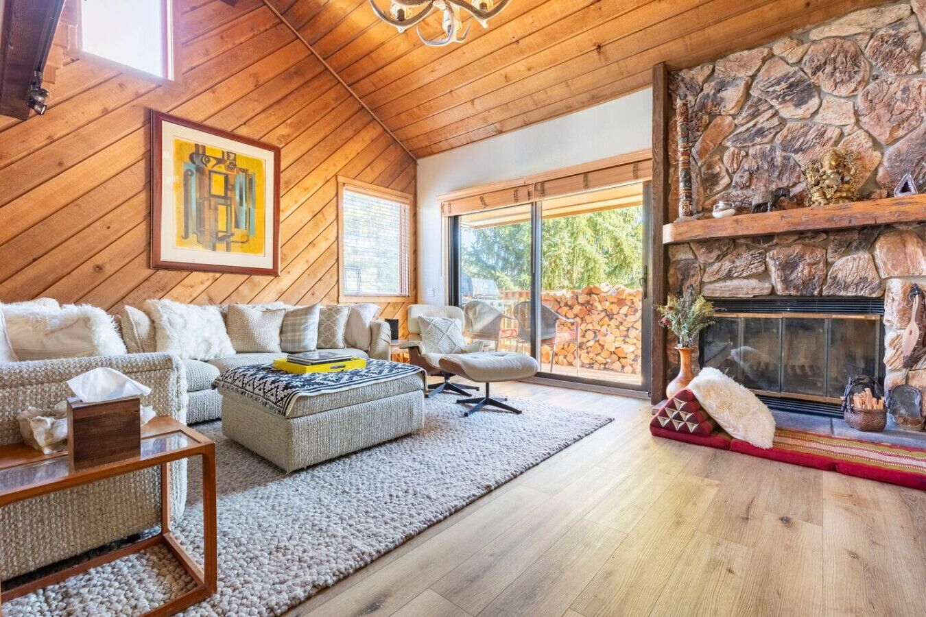 Smart-tv, pejs, bøger, stereoanlæg