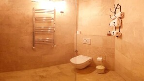 Shower, towels, toilet paper