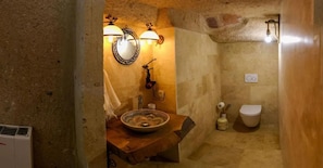 Shower, towels, toilet paper