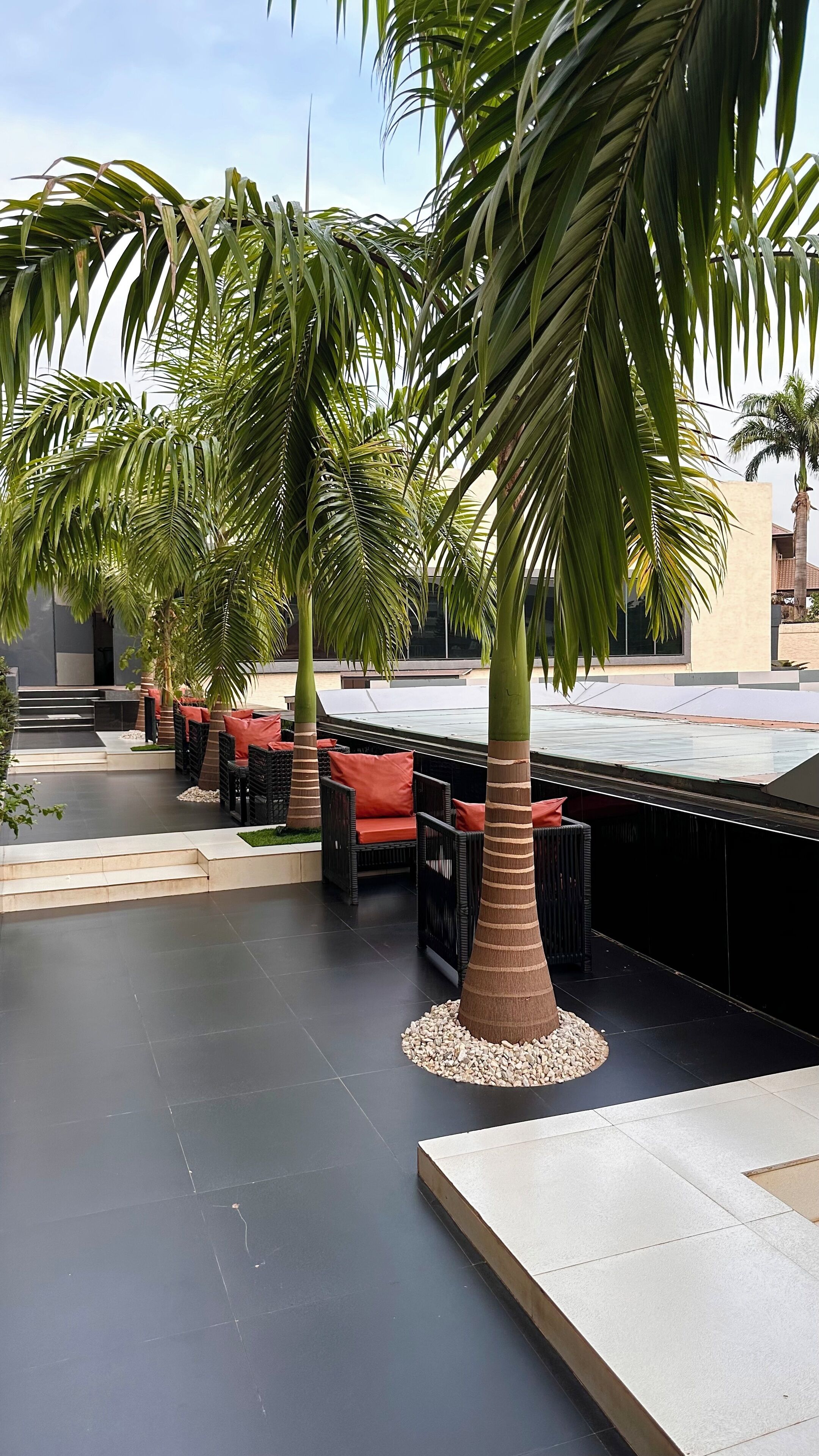 An outdoor seating area with palm trees, black wicker furniture, and a tiled floor.
