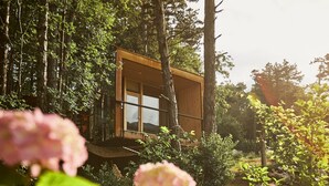 Une cabane en bois dotée de grandes fenêtres, entourée d’une végétation luxuriante et de fleurs roses.