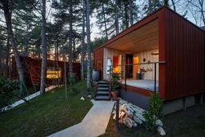 Een moderne blokhut met een houten gevel, een veranda en een pad van stenen dat naar de ingang leidt.