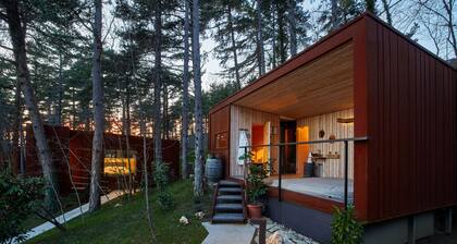 Theodosius forest village Vipava