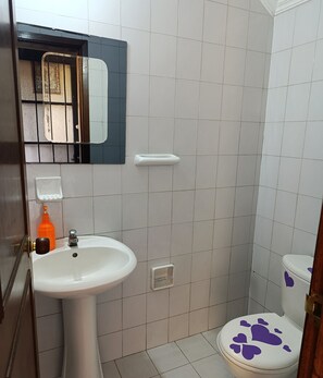 Towels, soap, toilet paper