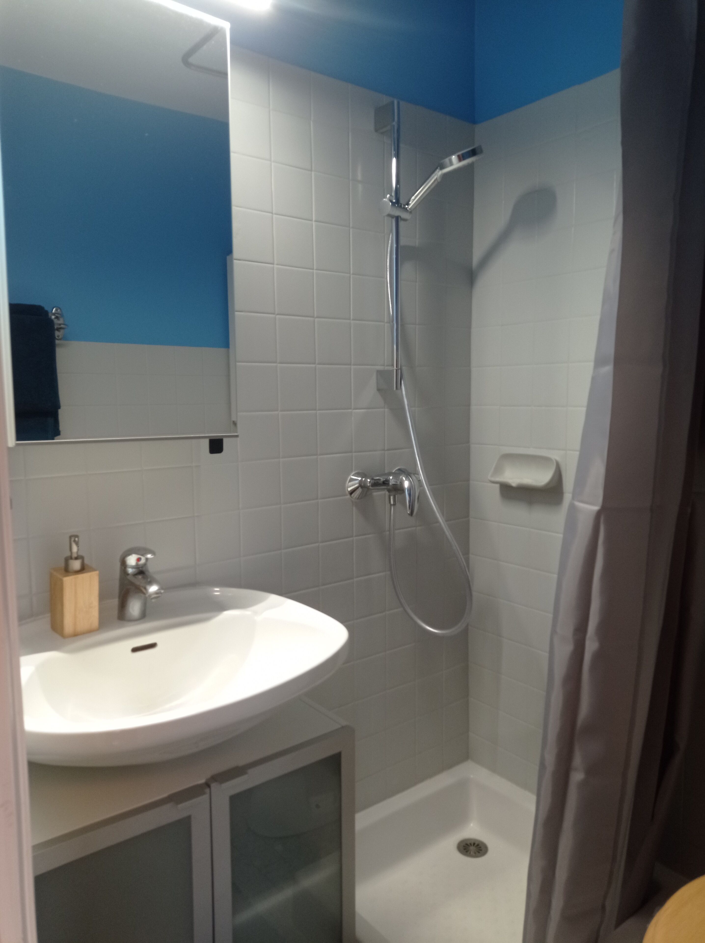 A bathroom with a white sink, a mirror, a shower with a handheld showerhead, and a towel rack.