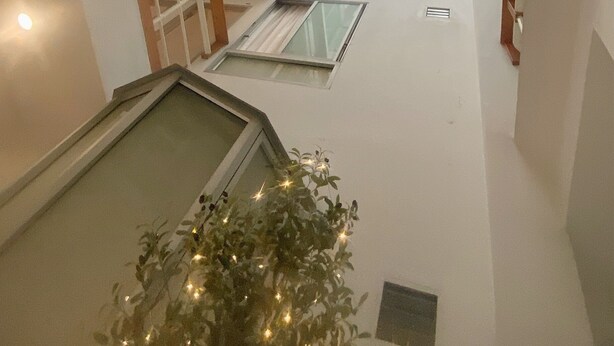 Una stanza con soffitto alto, lucernari e una finestra centrale, con una pianta in vaso.