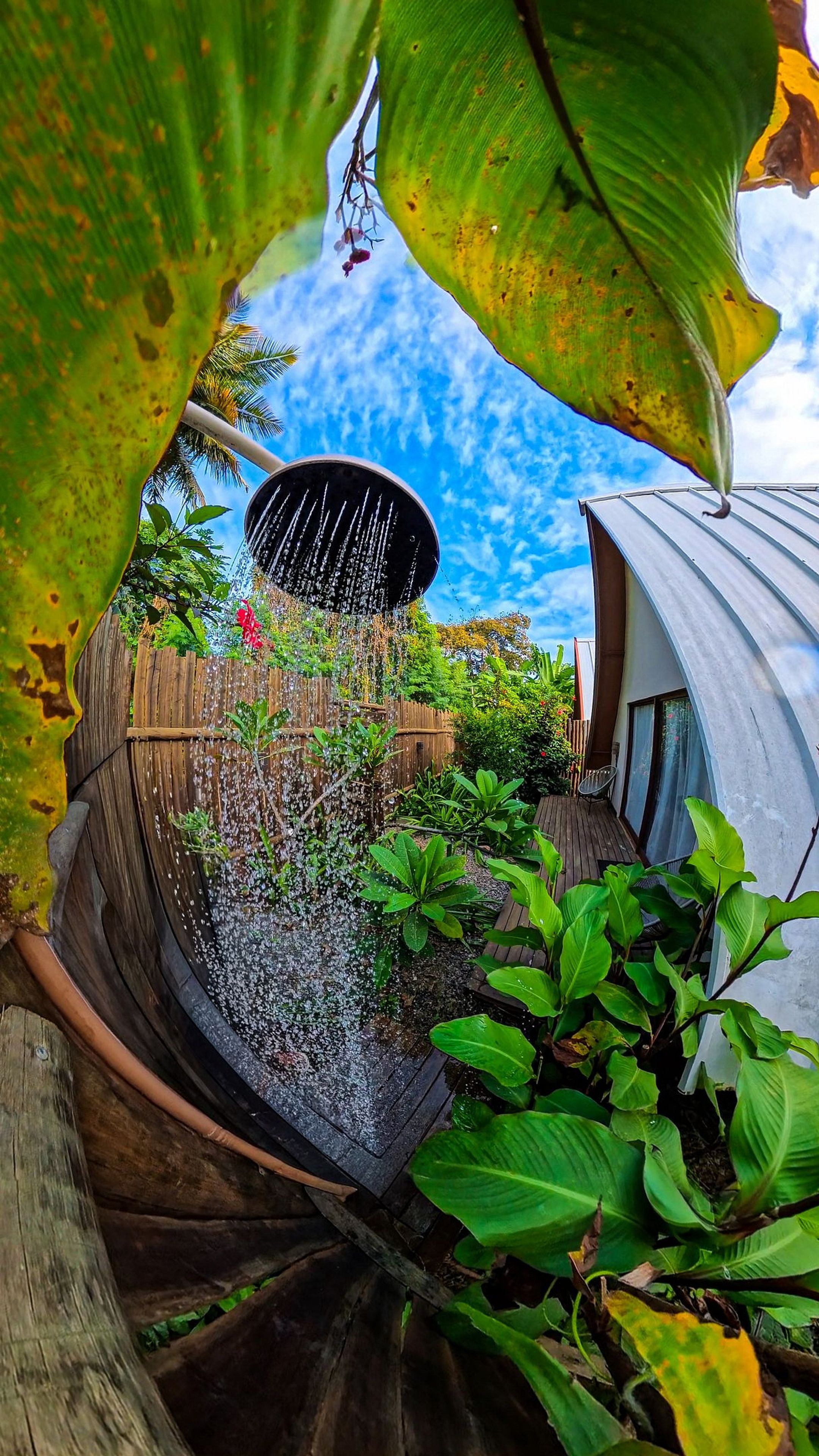A garden with a water feature, wooden deck, and lush greenery.