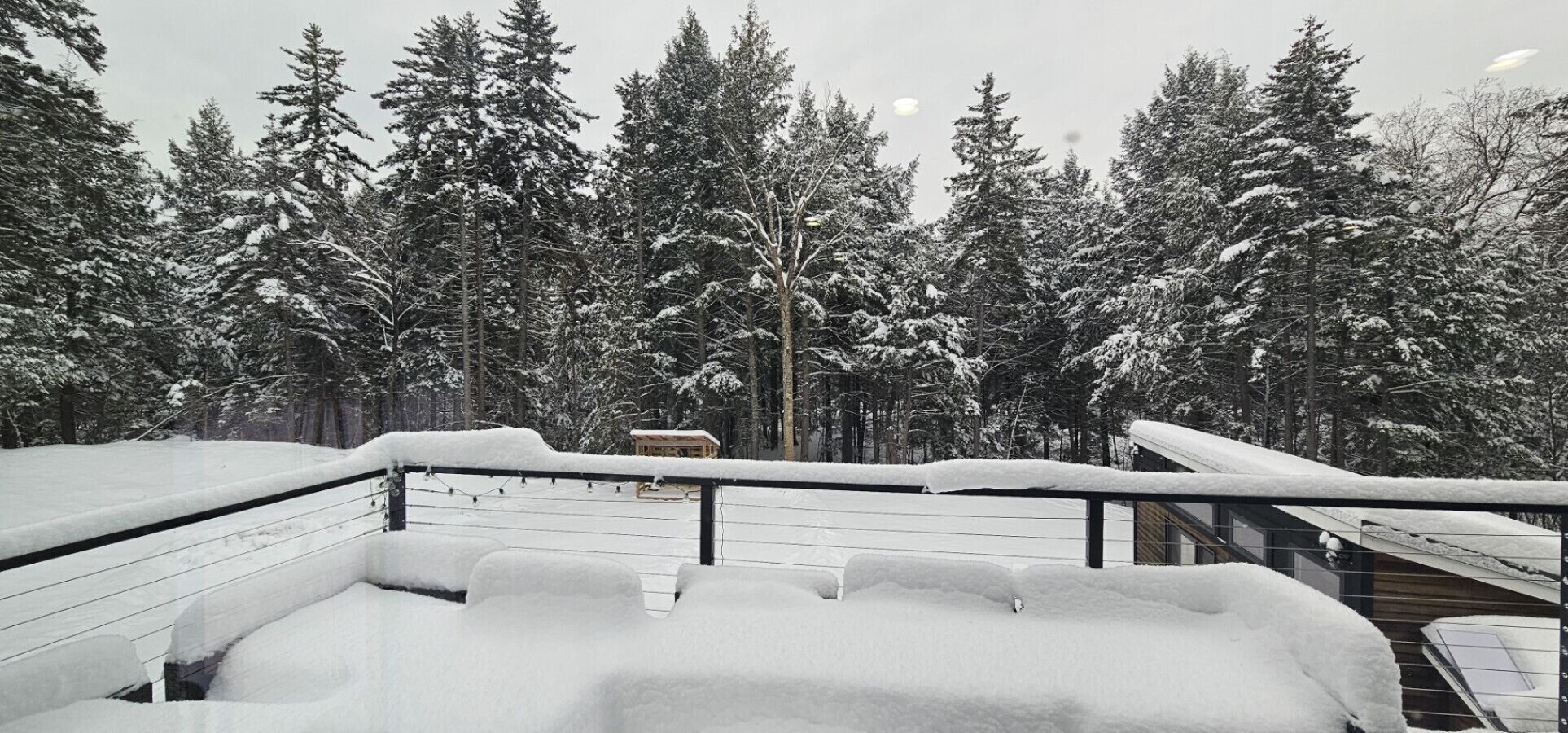 Parco della struttura