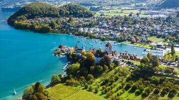 An aerial view of a lakeside town with a prominent castle, marina, and surrounding greenery.