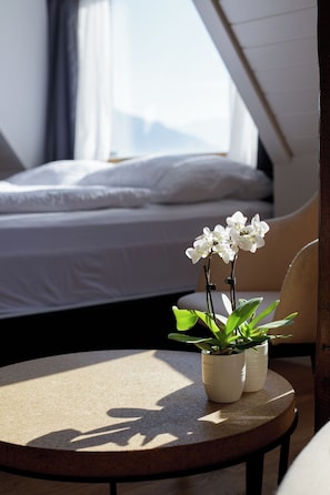 Appartamento Superior, balcone, vista lago | Una scrivania, insonorizzazione, Wi-Fi gratuito