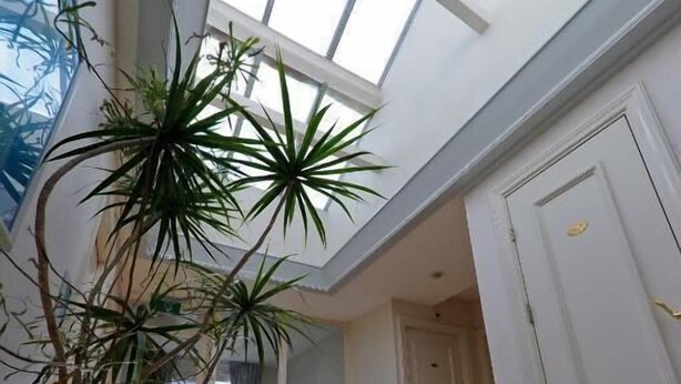 A spacious room with a high ceiling, wooden flooring, a large potted plant, and a view through a skylight. - Imperial Hotel Rembrandtplein  (Amsterdam)