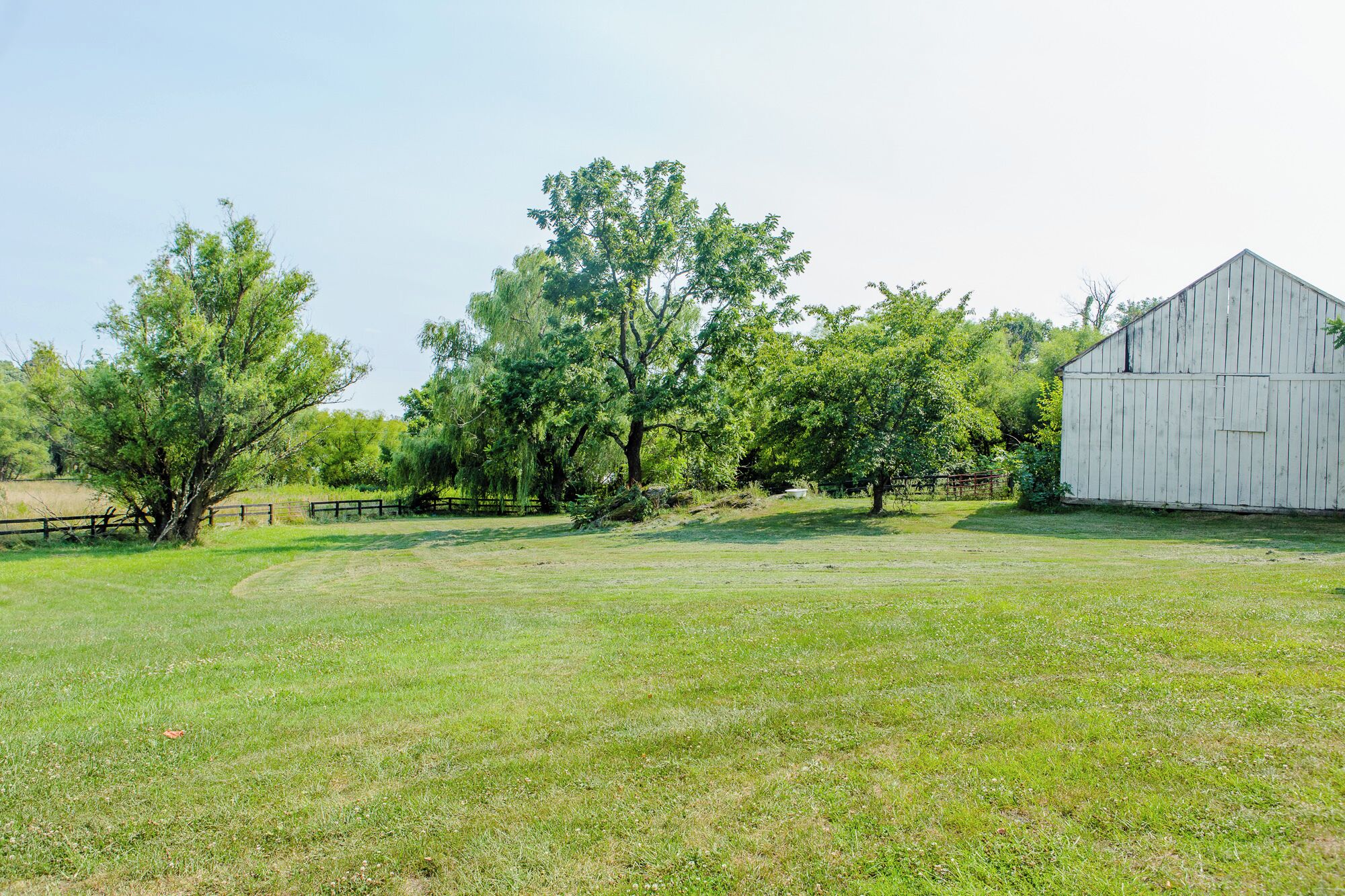 A barn and trees in a grassy field.