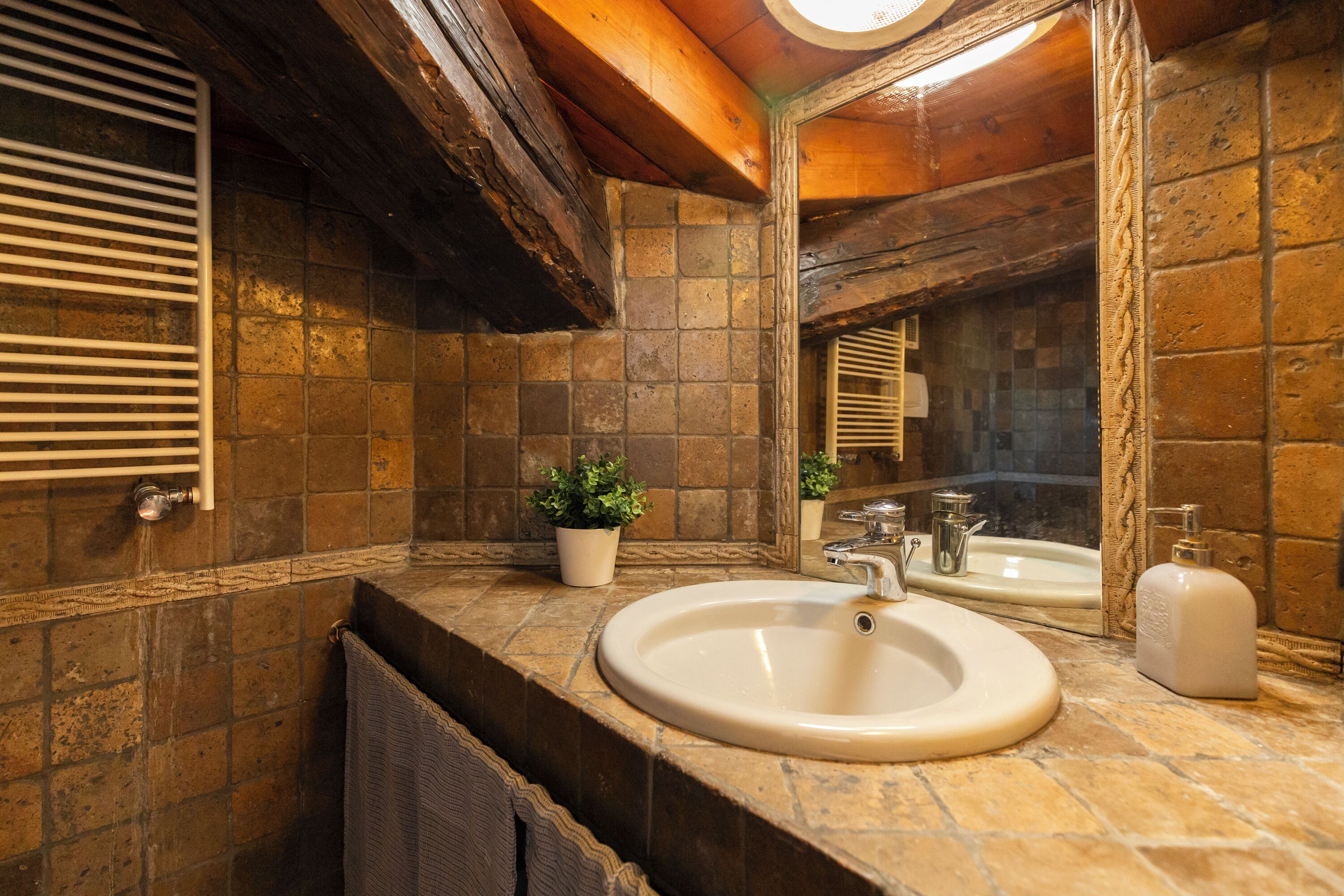 A bathroom with a large sink, a mirror, and a potted plant.