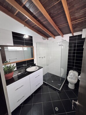 Shower, towels, soap, toilet paper