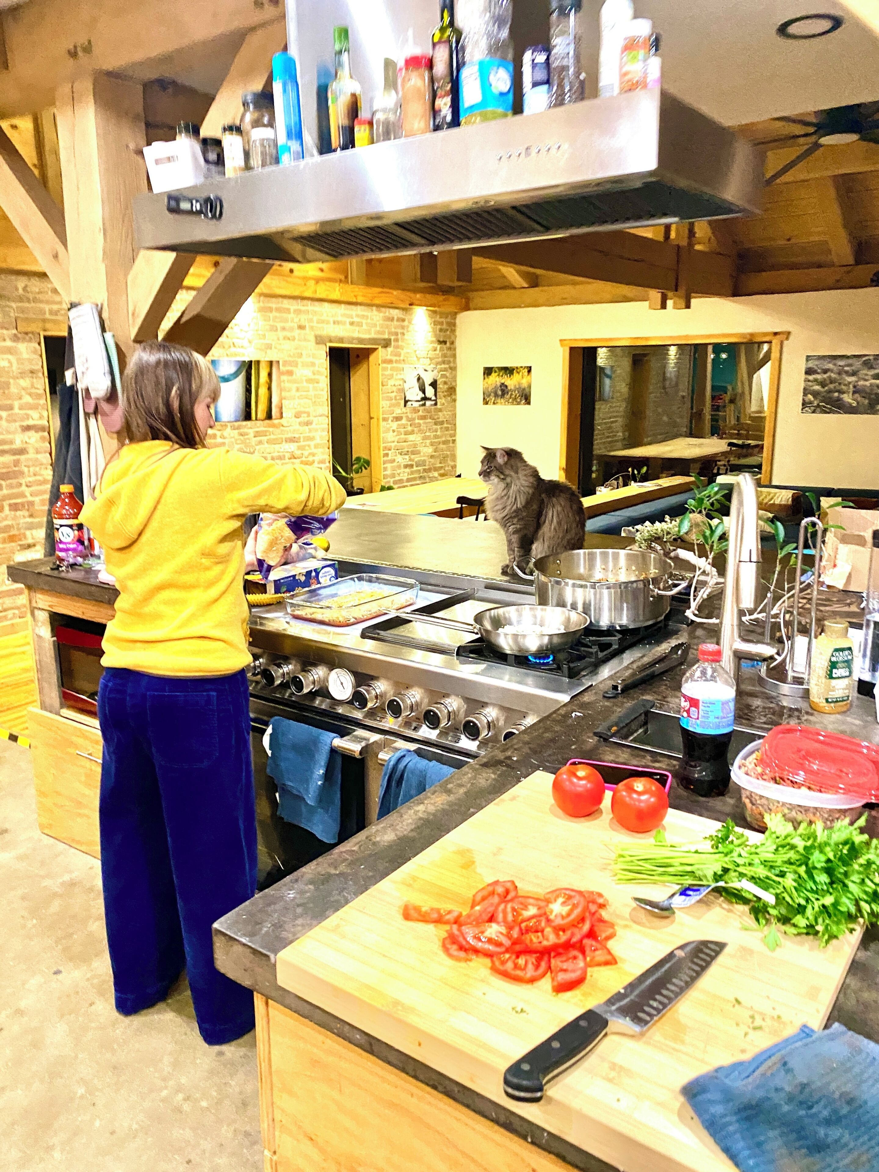 A person cooking in a kitchen with a cat, a stove, and various cooking utensils.
