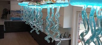 Beautiful Lakeshore Designer home and Tropical gardens for 4 people