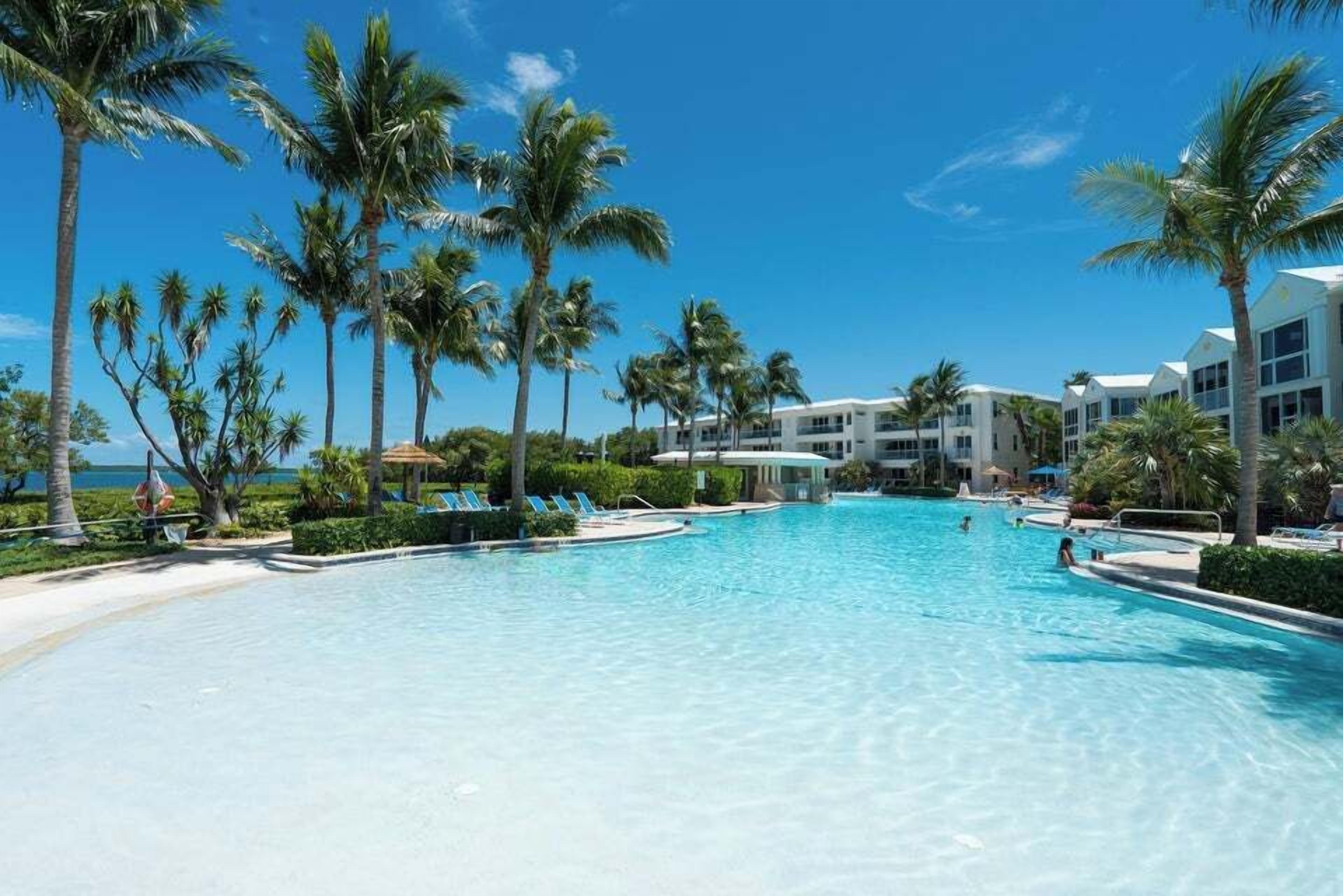 A large swimming pool surrounded by palm trees and a beach, with a building in the background.