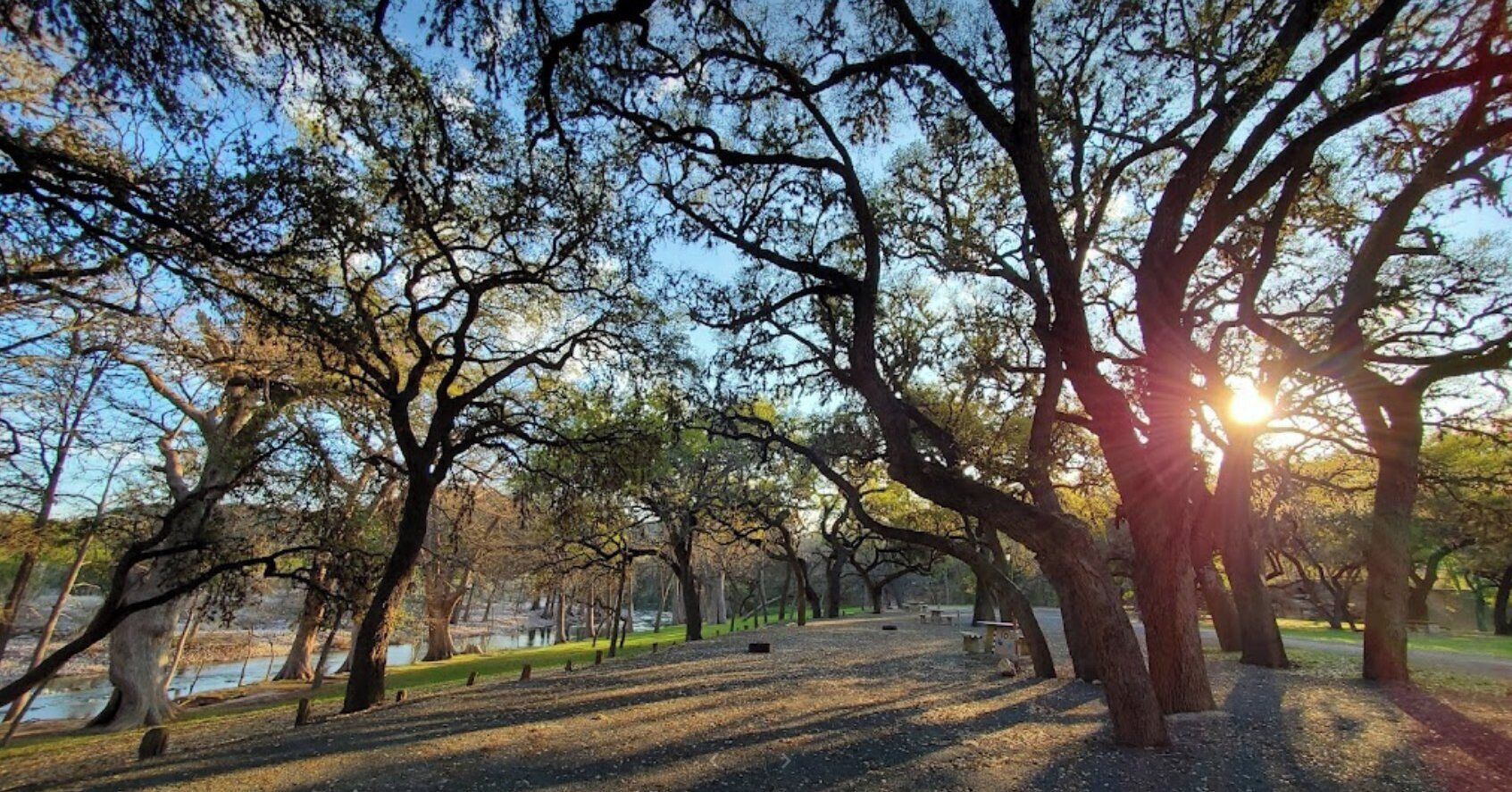 A park with trees and a path.