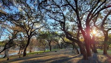 A park with trees and a path.