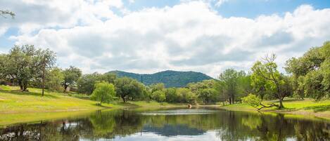 Catch & Release Fishing Pond