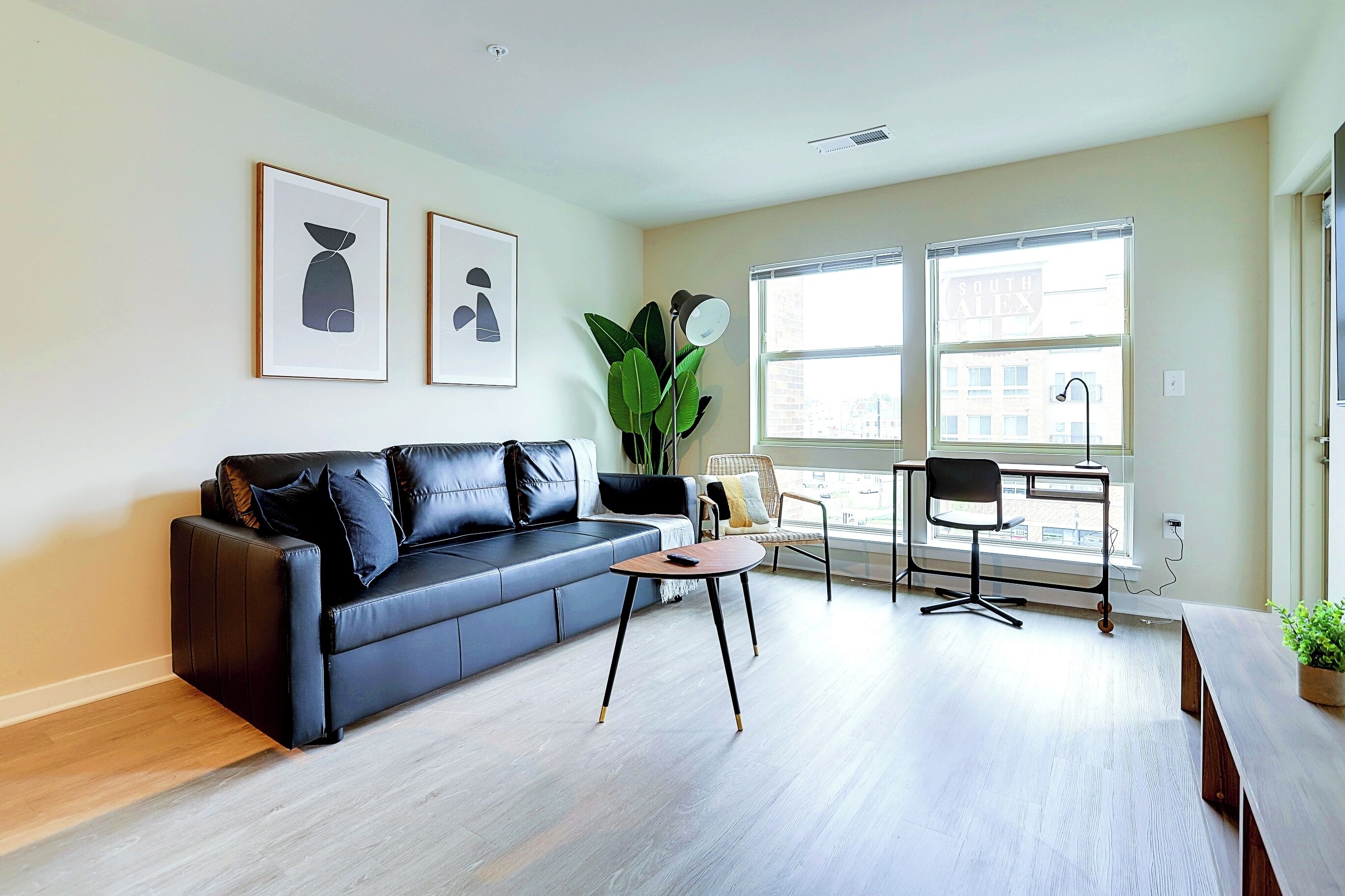 Un salon moderne avec un canapé en cuir noir, une petite table ronde et une grande plante en pot. Deux fenêtres laissent entrer la lumière naturelle et offrent une vue sur les bâtiments environnants.