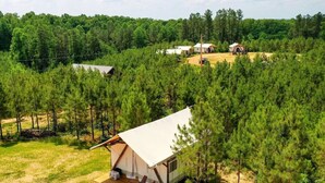 Un seul camping-car avec auvent, situé dans une zone boisée, avec un chemin de terre menant à l’endroit.