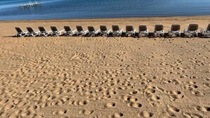 A beach with rows of sun loungers facing the water.