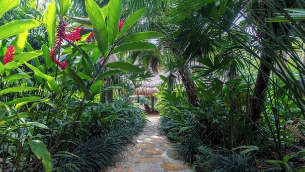 A stone pathway flanked by lush tropical plants leading to a thatched-roof structure. - Yeguas Y41 by Wynwood House  (Anapoima)