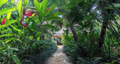 Yeguas Y41 by Wynwood House