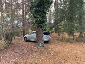 Property grounds - Charming 4-bedroom house with WiFi, AC in peaceful Raleigh (Raleigh)