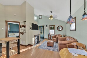 TV, fireplace, books