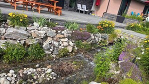 A garden with a small stream, surrounded by various plants and rocks. - Mara Spring Lodges - Lodge 1 (Mara)