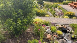 A garden with a wooden bench, a small stream, and various plants. - Mara Spring Lodges - Lodge 1 (Mara)