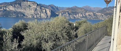 Terrain de lâhĂ©bergement