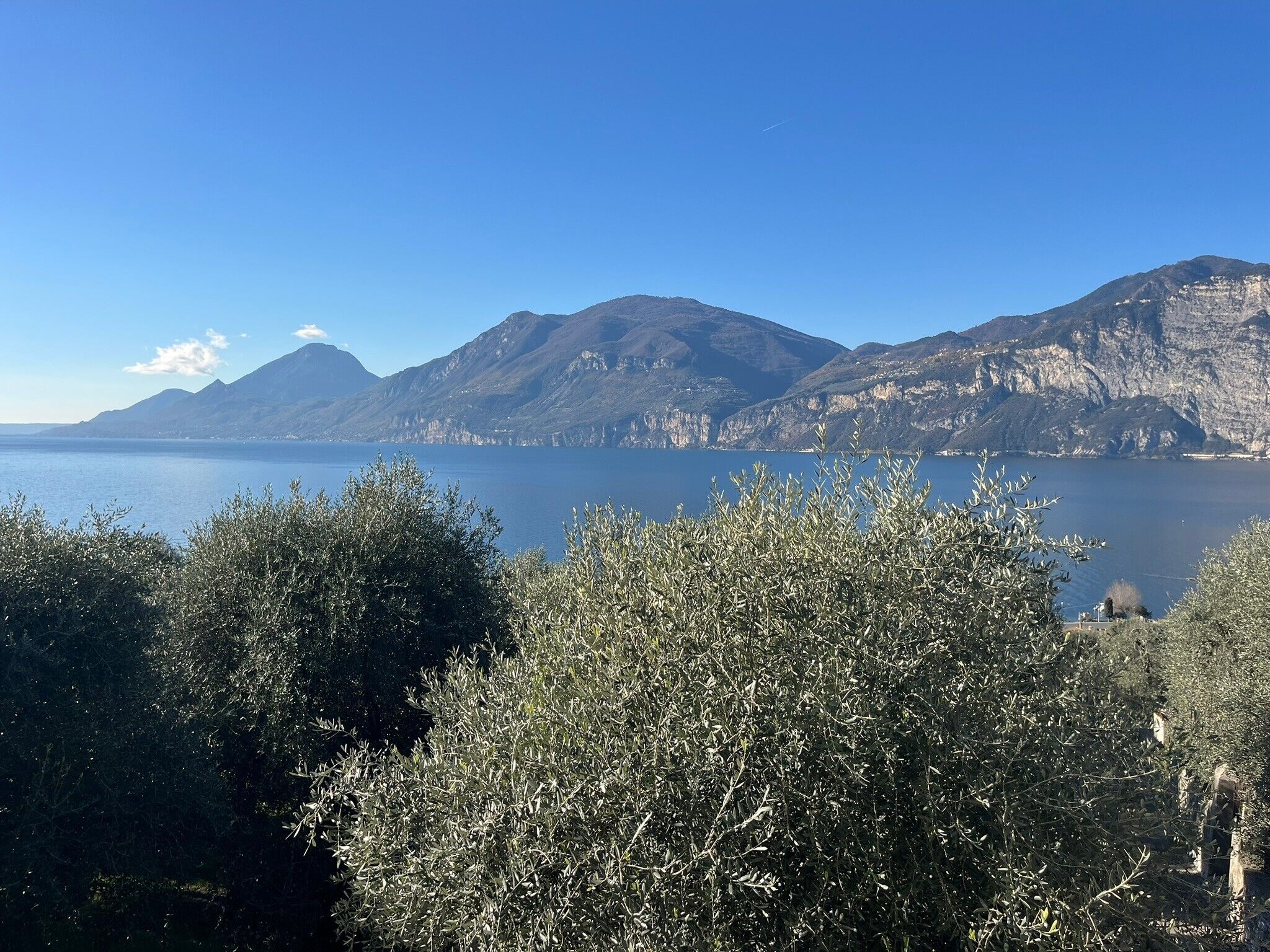 A mountainous landscape with a body of water and dense foliage in the foreground.