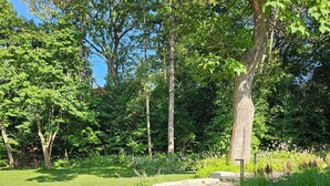 Un espace extérieur aménagé avec des chaises Adirondack et un chemin de pierres menant à une zone herbeuse.
