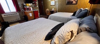 Cozy Paradise Retreat: Snowmobilers' Dream Near Trail Heaven!