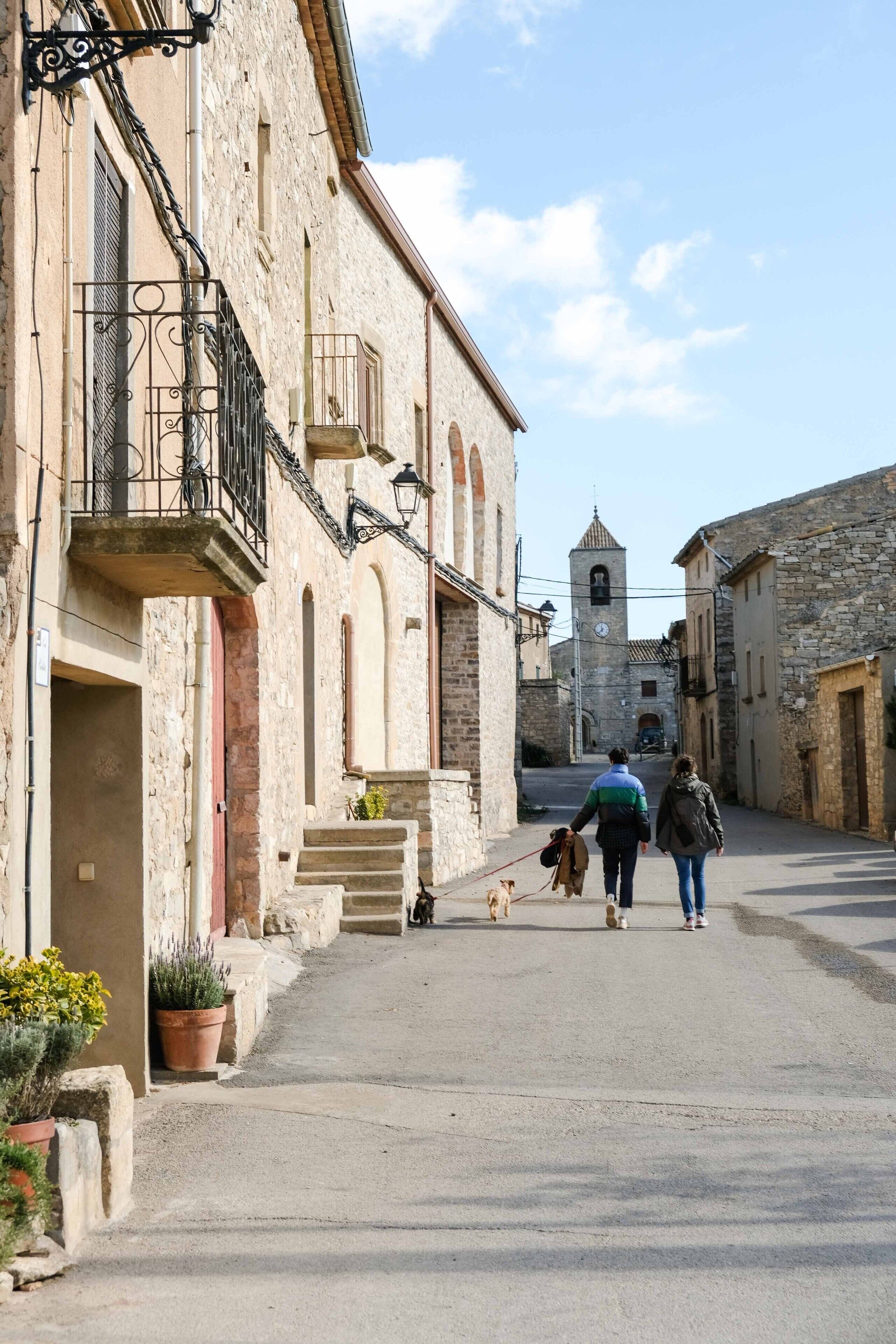 A narrow street with stone buildings, a bell tower, and a dog walking.
