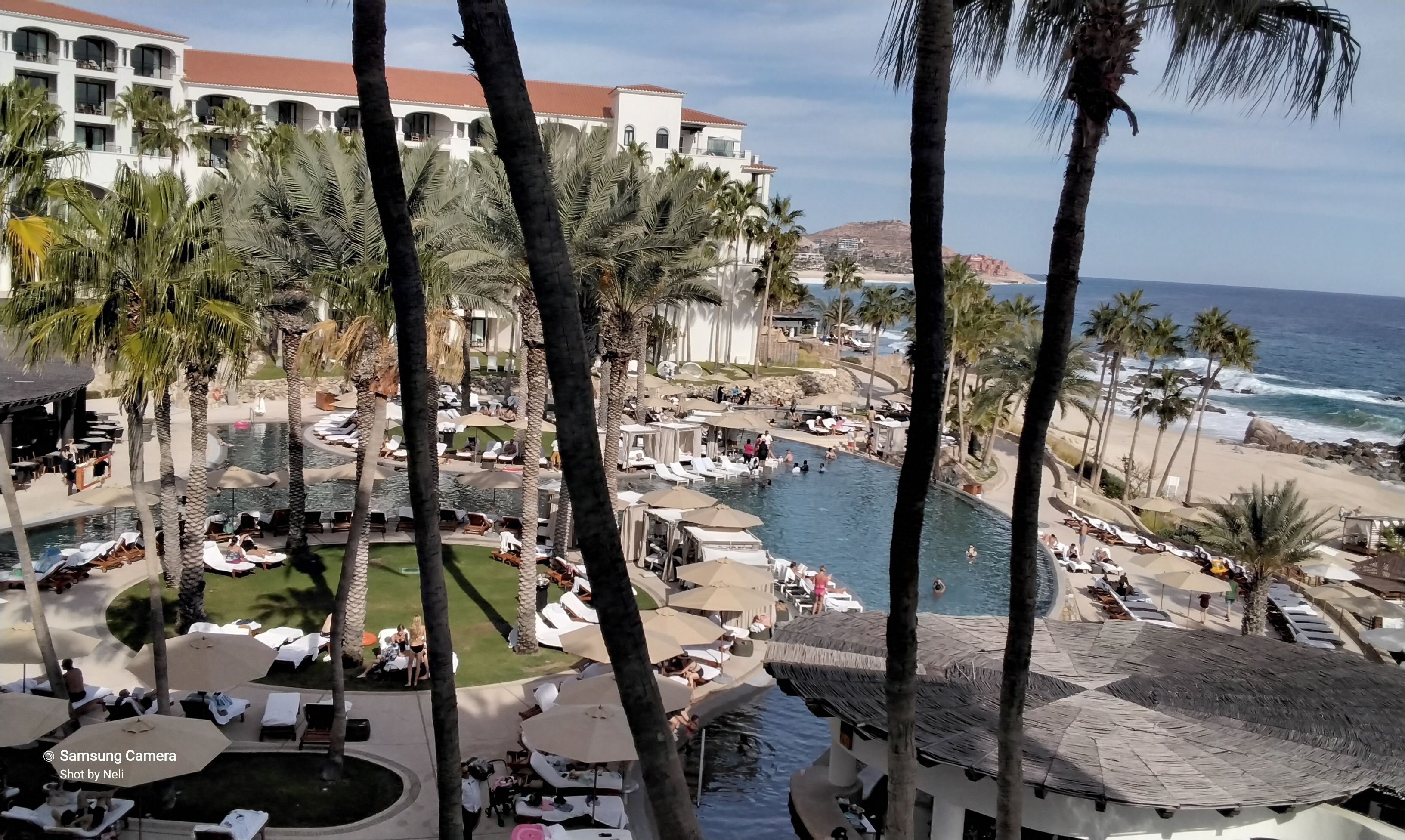 Un resort con zona de piscina, palmeras y vista al océano.