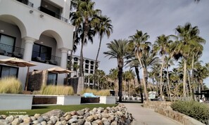 Property grounds - Ocean view beach suite (San José del Cabo)