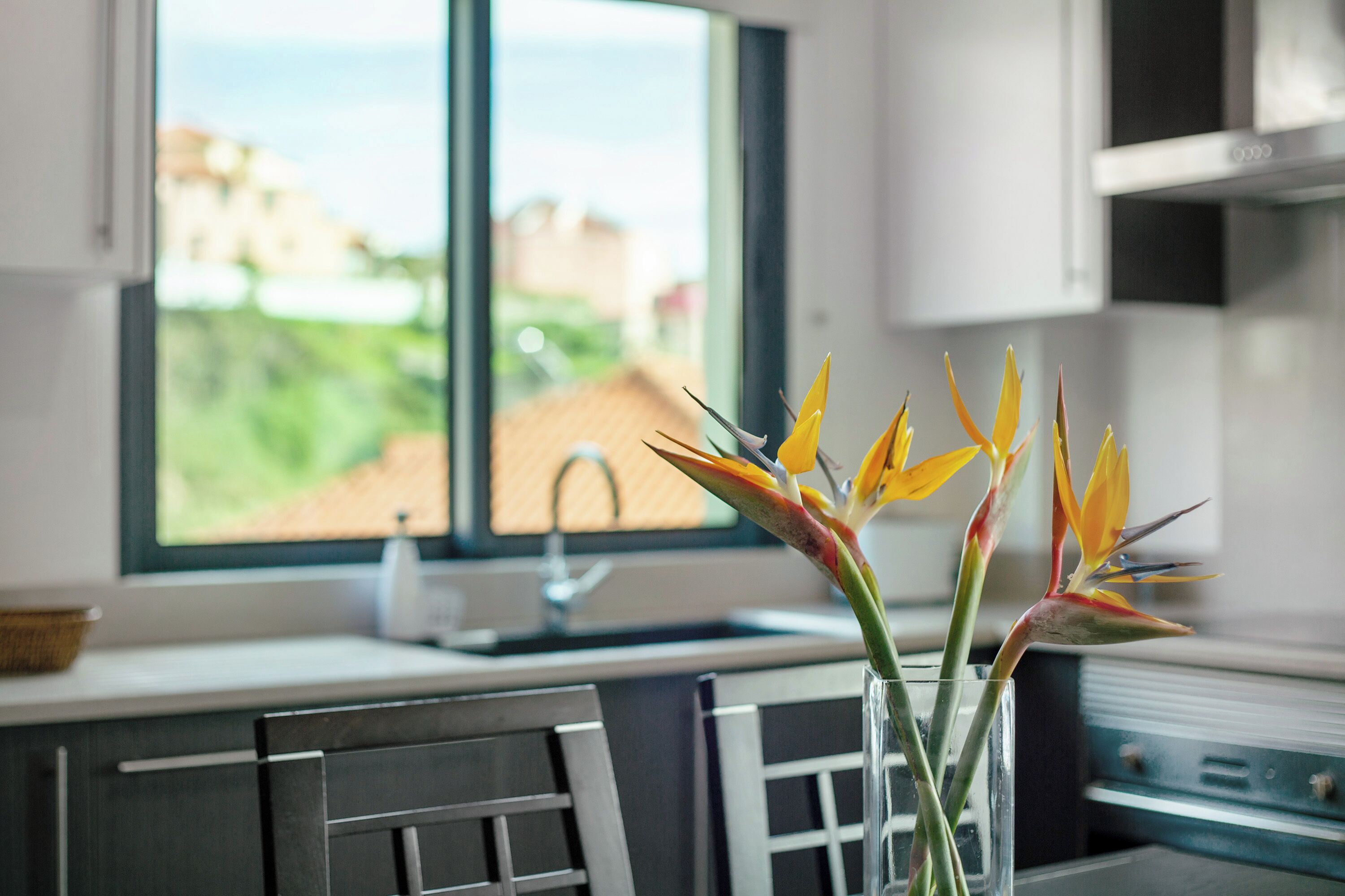 冷蔵庫、電子レンジ、オーブン、コンロ