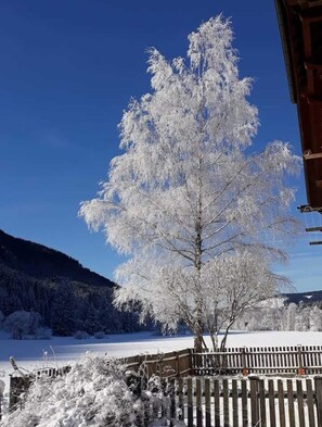 Property grounds - Apartment 'Winter' with Mountain View, Shared Garden and Wi-Fi (Valle di Casies)