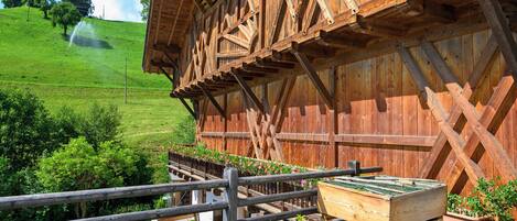 Parco della struttura