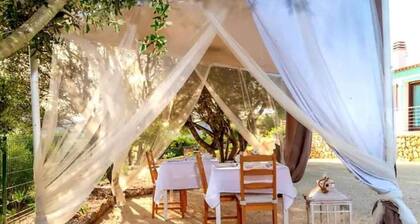 Guest House 'Barbagia Plus' with Mountain View, Wi-Fi and Air Conditioning