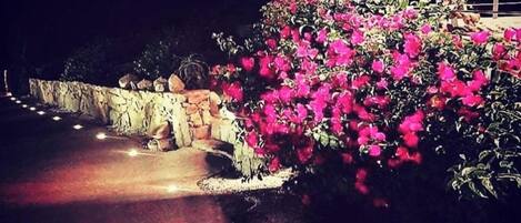 Overnatningsstedets område