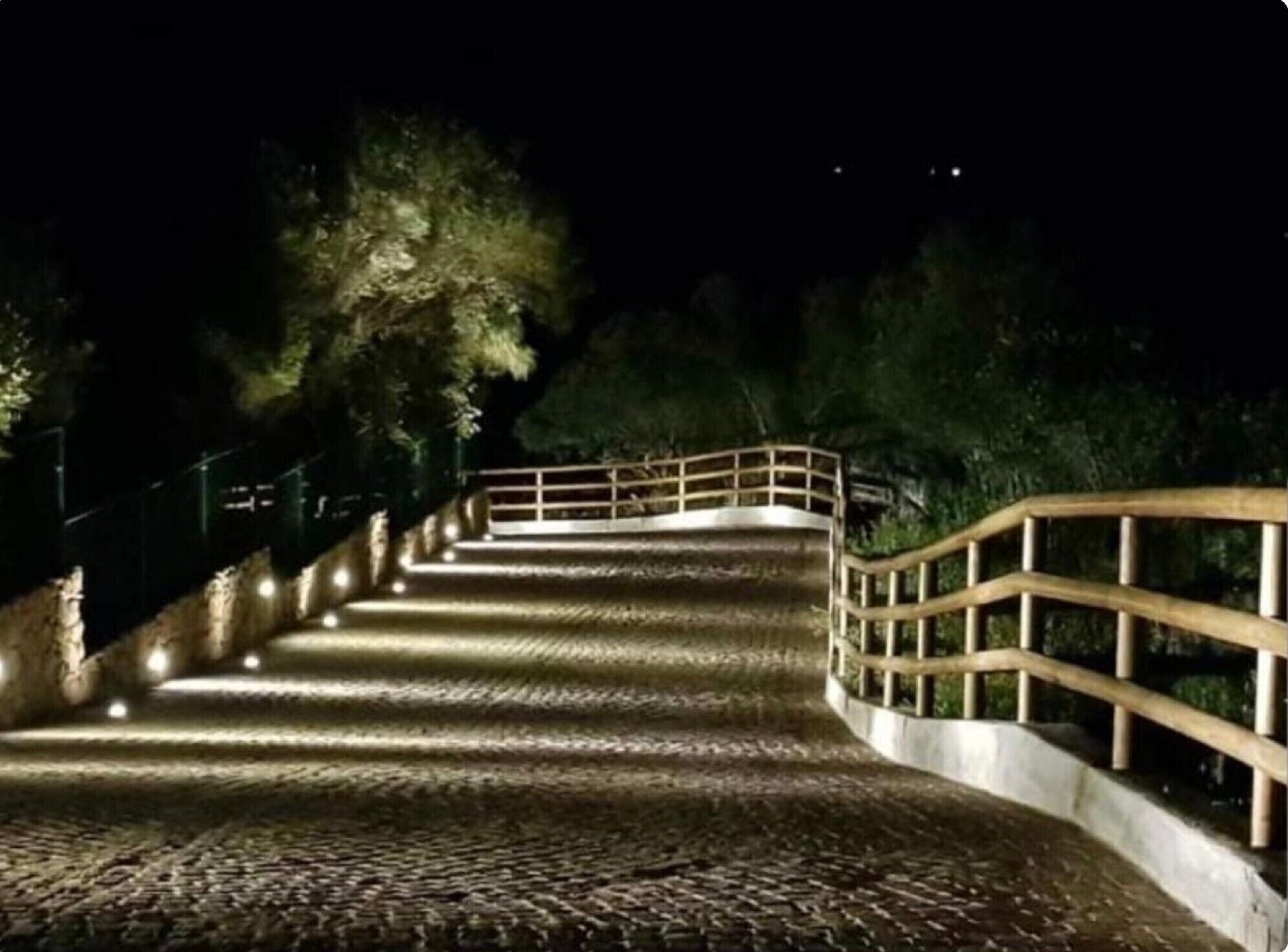 A nighttime staircase with a wooden railing, surrounded by trees and illuminated by lights.