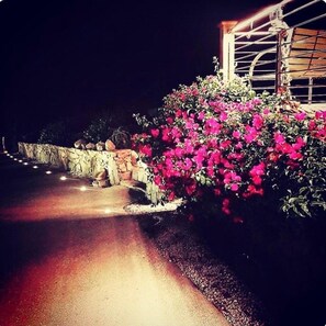 Área da propriedade