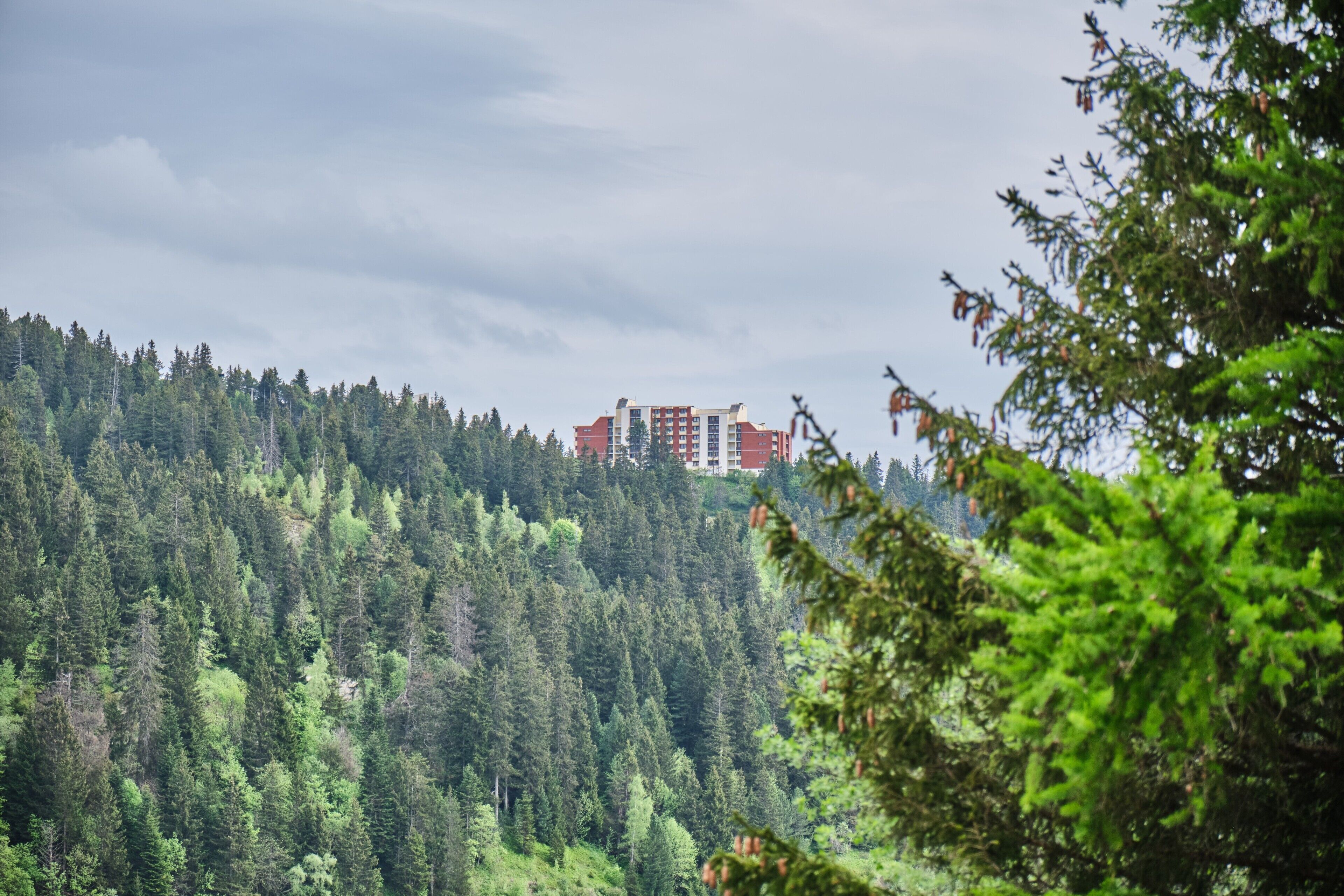Ein Gebäude, von einem dichten Wald umgeben.