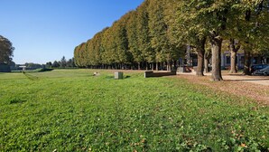 A park with a row of trees, a grassy field, and a pathway.